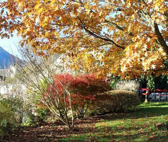 automne jardins du cot