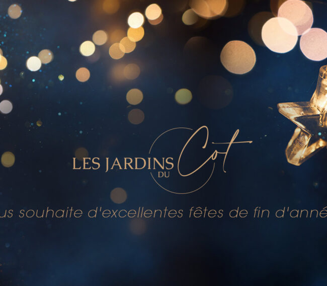 joyeuses fetes 2021